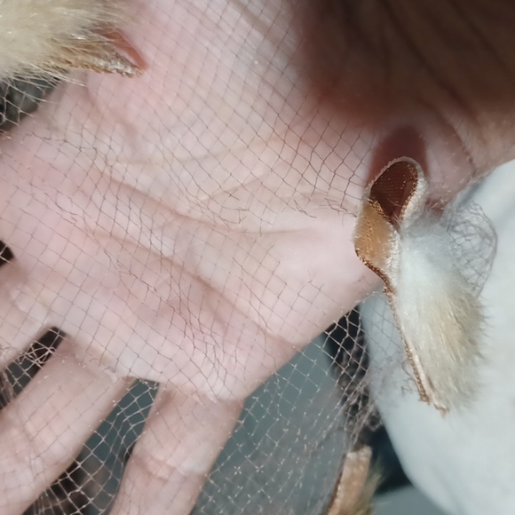 Vintage Set of 2 Net Veils, dark brown velvet bows and tear drops, tan velvet - Picture 8 of 11